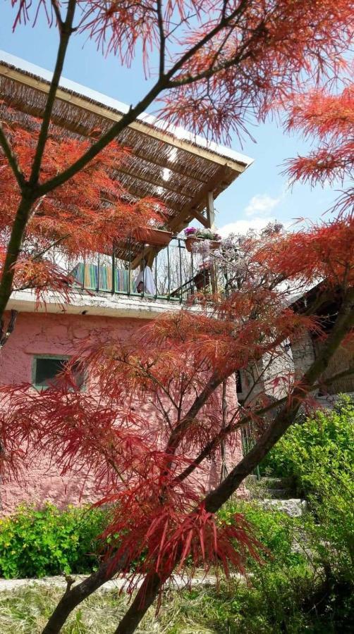 La Casa Rosa Di Segusino With Spa Jacuzzi In Garden Sequsino Ngoại thất bức ảnh